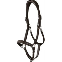 Produktbild von Dy'on Working Collection 2 in 1 Transport- und Stallhalfter aus weichem Leder für Pferde