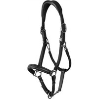 Produktbild von Dy'on Working Collection 2 in 1 Transport- und Stallhalfter für Pferde aus weichem Leder in Schwarz