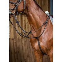 Produktbild von Dy'on Working Collection Ringmartingal aus Leder für Pferde