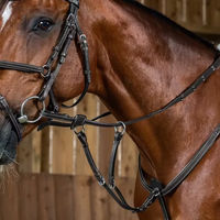 Produktbild von Dy'on Working Collection Ringmartingal aus Leder für Pony in Schwarz