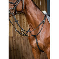 Produktbild von Dy'on Working Collection Ringmartingal aus Leder für Ponys in Schwarz
