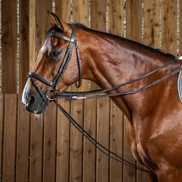 Dy'on Working Collection Schlaufzügel aus Leder für Warmblut Pferde in Schwarz – Bild 1 von 4