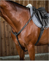 Dy’on Working Collection Vorderzeug aus Leder für Ponys in Schwarz – Bild 1 von 2