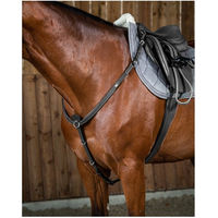 Produktbild von Dy’on Working Collection Vorderzeug aus Leder für Ponys in Schwarz