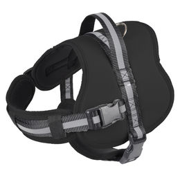 Produktbild von Dynamic24 Sicherheitsgeschirr Brustgeschirr für Hunde Schwarz Größe L 71-96 cm