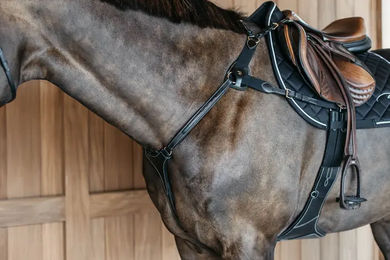 Produktbild von Dyon 5-Punkt-Vorderzeug D Collection aus Leder mit Elastikeinsatz für Ponys