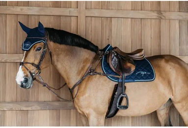 Dyon 5-Punkt-Vorderzeug D Collection mit Elastikeinsatz aus Leder für Vollblut Pferde – Bild 1 von 2