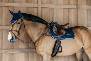 Produktbild von Dyon 5-Punkt-Vorderzeug mit Elastikeinsatz für Ponys aus Leder in Braun