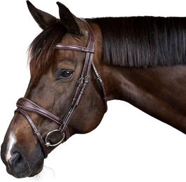 Dyon Anatomische Trense mit kombiniertem Reithalfter US Collection aus Leder für Ponys – Bild 1 von 7