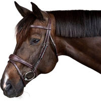 Produktbild von Dyon Anatomische Trense mit kombiniertem Reithalfter US Collection aus Leder für Ponys
