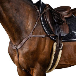 Produktbild von Dyon Anatomisches Vorderzeug US Collection aus Leder für Ponys
