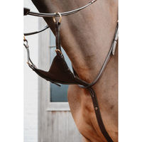 Produktbild von Dyon BibMartingal aus weichem Leder für Ponys in Braun