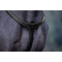 Produktbild von Dyon Collection Vorderzeug Long Bridge aus Leder in Schwarz für Vollblut Pferde