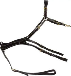 Dyon D Collection Anatomisches Vorderzeug aus Leder Schwarz für Vollblut – Bild 1 von 4