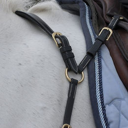 Dyon DCollection Anatomisches Leder-Vorderzeug für Ponys in Schwarz – Bild 1 von 7