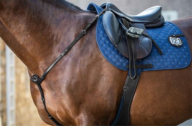Produktbild von Dyon DCollection Leder Vorderzeug für Pferde Schwarz