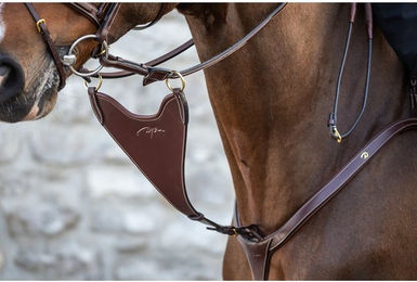 Produktbild von Dyon DCollection Martingalgabel Hard Bib geschlossen aus Leder in Braun für Vollblut