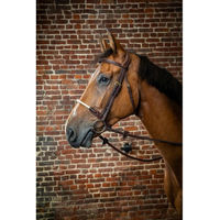 Produktbild von Dyon DCollection Rope Noseband Trense mit Strickreithalfter aus Leder in Braun für Vollblut
