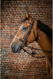 Produktbild von Dyon DCollection Rope Noseband Trense mit Strickreithalfter aus Leder in Schwarz oder Braun