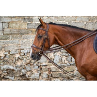 Produktbild von Dyon DCollection Schlaufzügel aus Vollleder 13mm für Pferde
