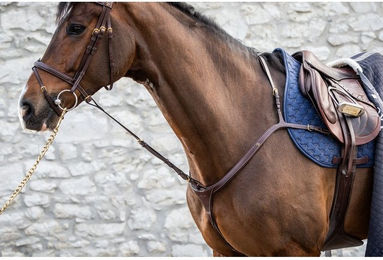 Produktbild von Dyon DCollection Standing Martingal Anhang aus Leder für Ponys in Schwarz