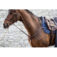 Produktbild von Dyon DCollection Standing Martingal Anhang aus Leder für Ponys in Schwarz