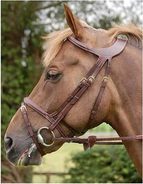 Dyon DCollection Trense Difference anatomisch kombiniertes Reithalfter aus Leder in Braun für Ponys – Bild 1 von 2