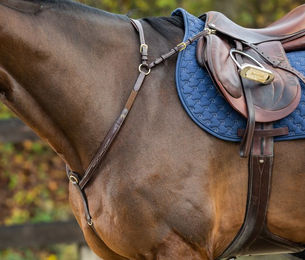 Produktbild von Dyon DCollection Vorderzeug Bridge aus Leder XL