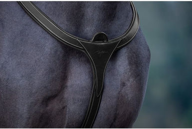 Dyon DCollection Vorderzeug Long Bridge aus Leder für Ponys in Schwarz – Bild 1 von 2