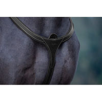Produktbild von Dyon DCollection Vorderzeug Long Bridge aus Leder für Ponys in Schwarz