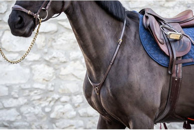 Dyon DCollection Yoke Martingal Riemen aus Leder in Braun Xfull – Bild 1 von 4