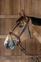 Produktbild von Dyon Geflochtene Leder Trense mit kombiniertem Reithalfter für Ponys in Braun