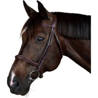 Produktbild von Dyon Geflochtene Trense New English aus Leder in Braun für Warmblut ohne Sperriemen