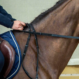 Dyon Gurtzügel New English Collection mit 9 Lederstegen für Ponys in Schwarz – Bild 1 von 2