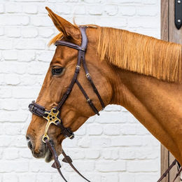 Dyon Hackamore Dyon Collection aus Leder in Braun Größe XL – Bild 1 von 2