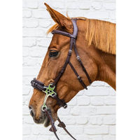 Produktbild von Dyon Hackamore New English Collection Leder Pony Trense