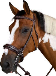 Dyon Hackamorezaum US Collection aus Leder für Warmblut in Braun oder Schwarz – Bild 1 von 5