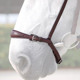 Produktbild von Dyon Hannoveraner Reithalfter aus Leder mit Edelstahlbeschlägen für Ponys
