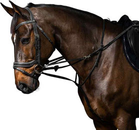 Dyon Howlett Schlaufzügel Working aus Leder in Braun für Vollblut Pferde – Bild 1 von 3