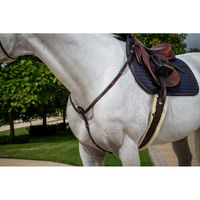 Produktbild von Dyon Hunter Collection Vorderzeug DY Fancy Stitch aus Leder in Braun für Vollblut Pferde