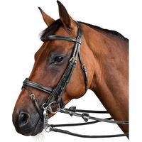 Produktbild von Dyon Kandare mit kombiniertem Reithalfter D Collection aus Leder für Warmblut