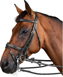 Dyon Kandare mit kombiniertem Reithalfter D Collection aus Leder für Warmblut – Bild 1 von 3