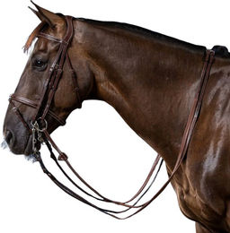 Dyon Kandare mit kombiniertem Reithalfter US Collection aus Leder in Braun für Warmblut – Bild 1 von 2