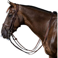 Produktbild von Dyon Kandare mit kombiniertem Reithalfter US Collection aus Leder in Braun für Warmblut