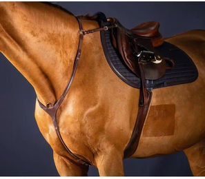 Dyon Leder Vorderzeug New English Collection mit Brücke Braun – Bild 1 von 3