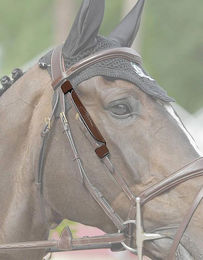 Dyon Mini-Scheuklappen Focus aus Leder Braun FEI-zugelassen – Bild 1 von 5