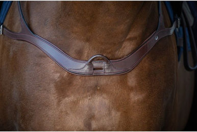 Dyon New English Collection anatomisches Leder-Vorderzeug für Pferde in Schwarz oder Braun Größe Xfull – Bild 1 von 4