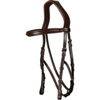 Produktbild von Dyon New English Collection Hackamore Zaum aus Leder für Ponys in Schwarz