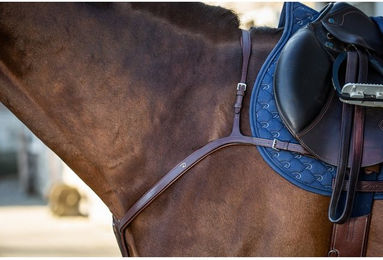 Produktbild von Dyon New English Collection Leder Vorderzeug mit langer Brücke Braun für Vollblut