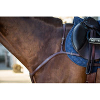 Produktbild von Dyon New English Collection Leder Vorderzeug mit langer Brücke Schwarz für Pony